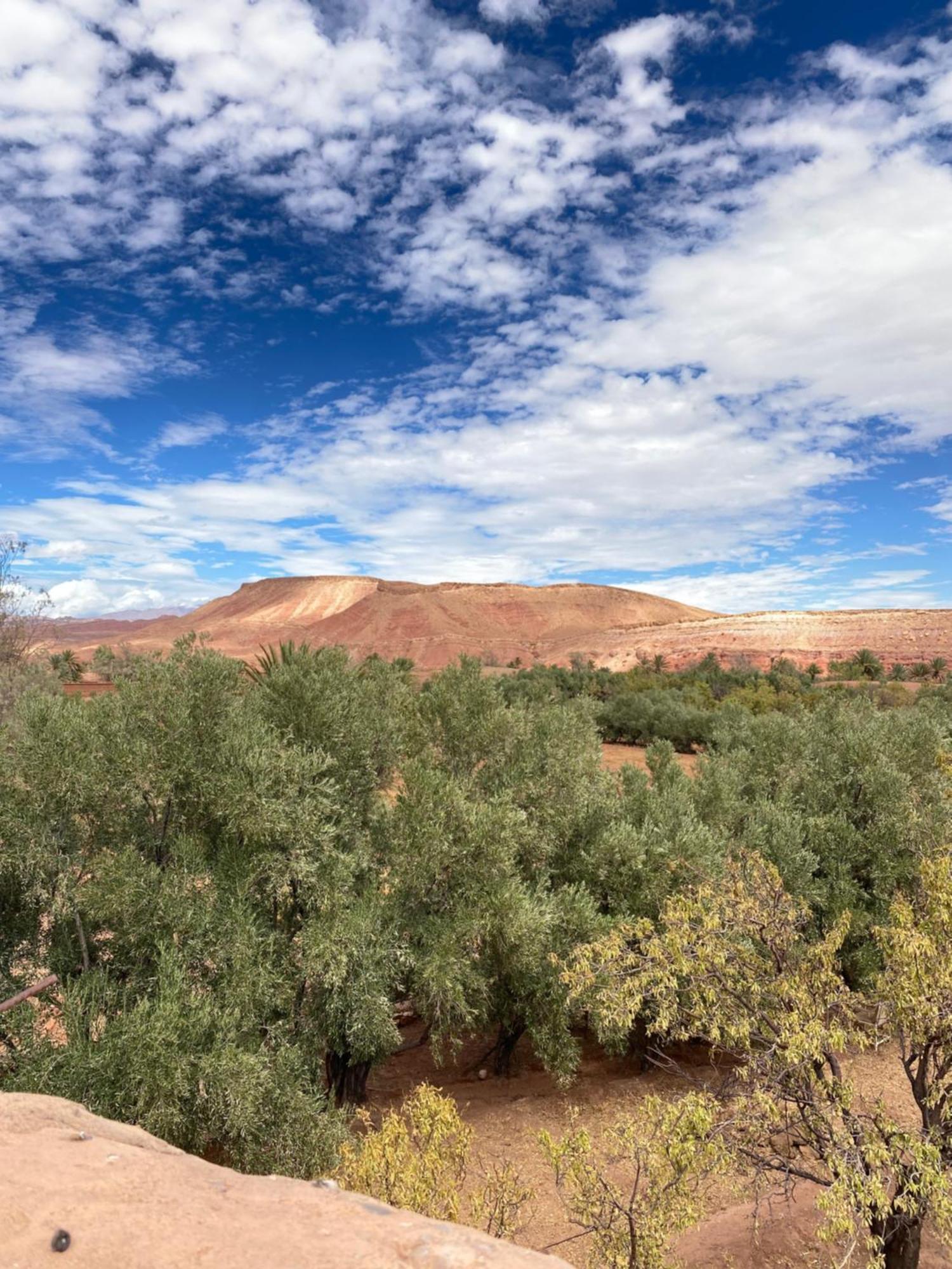 Отель Dar Adiafa Dar Asalam Айт-Бен-Хадду Экстерьер фото